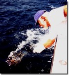 Bluefin Catches Like This are More Fun on Light Tackle - Click to Enlarge