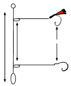 Top and Bottom Rigs are Perfect for Ocean Flounder Fishing - Click to Enlarge